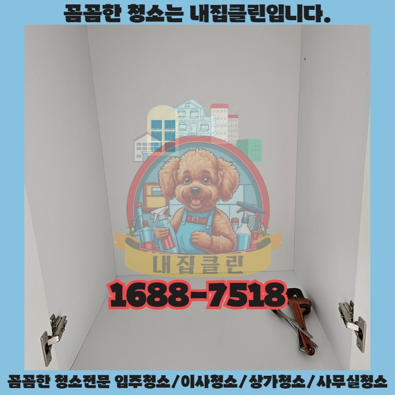 인천 부평 원룸청소: 숨 막히는 곰팡이, 완벽 제거 비법 공개