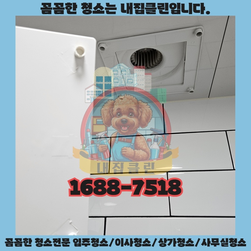 인천 가좌동 원룸청소 : 숨 막히는 곰팡이 지옥 탈출기