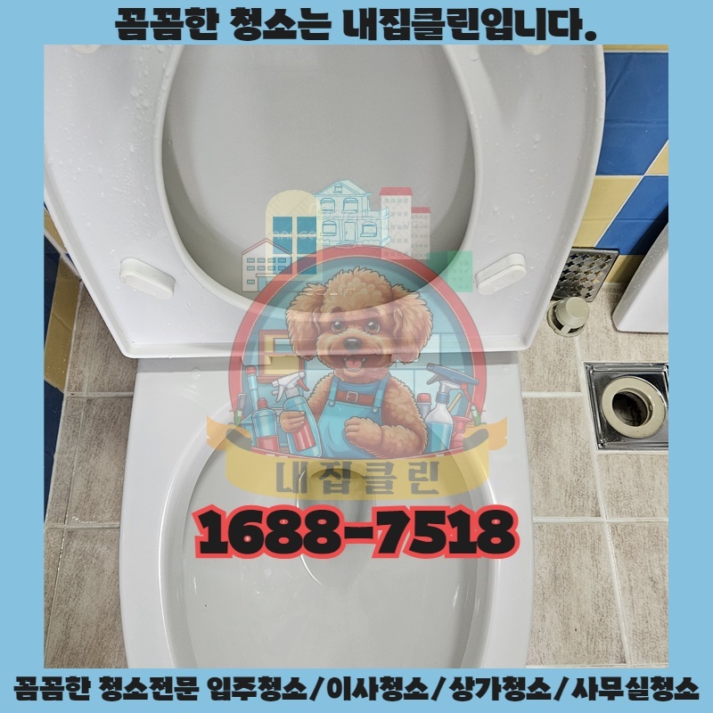 인천 논현동 원룸청소 : 숨 막히는 곰팡이 지옥, 5시간 만에 쾌적한 보금자리로!