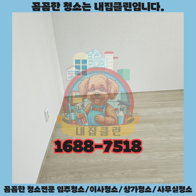 마전동 원룸, 숨 막히는 먼지 지옥 탈출 프로젝트