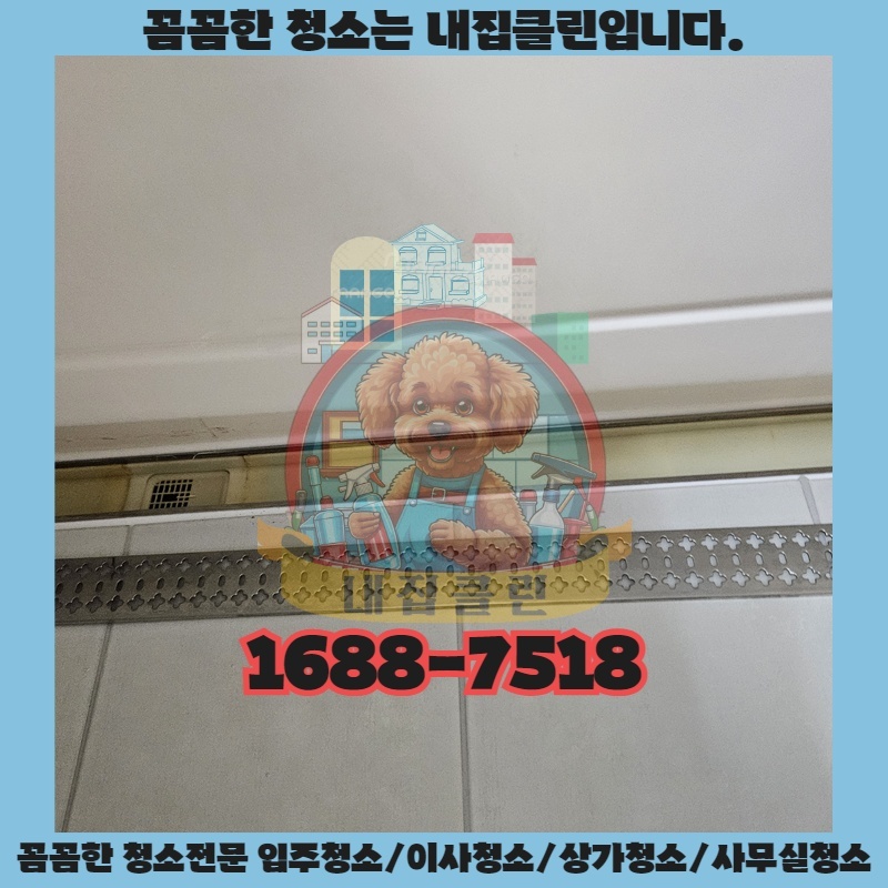 인천 백석동 원룸 입주청소, 숨겨진 곰팡이까지 완벽 제거하는 방법