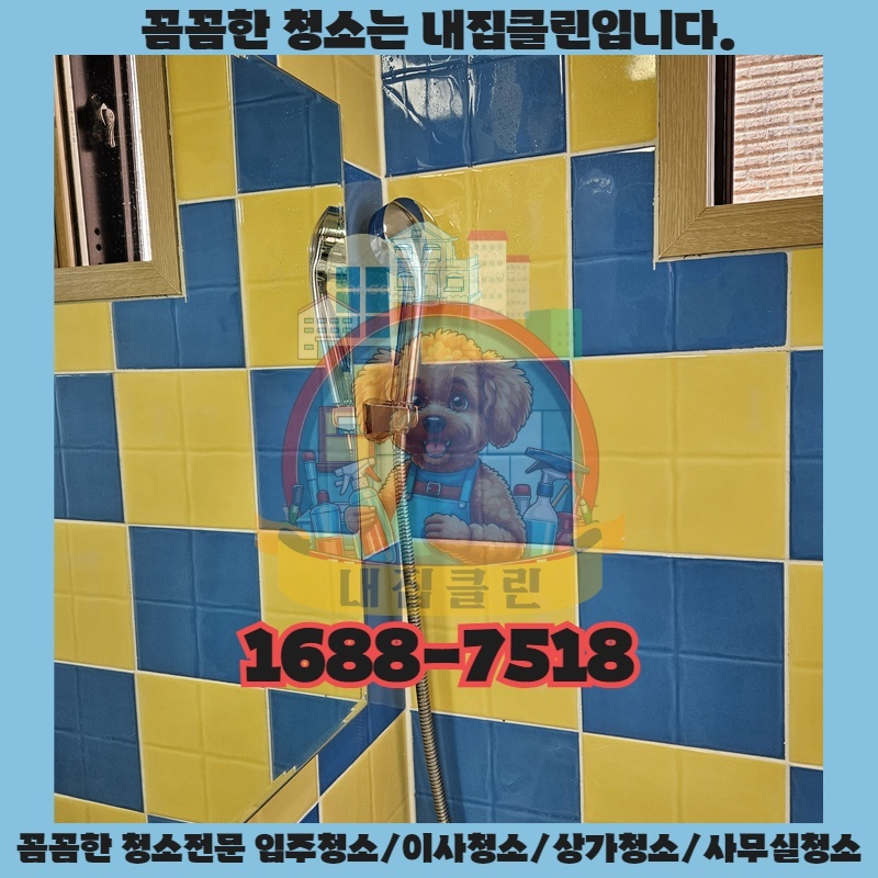 인천 부평 원룸청소: 숨 막히는 곰팡이, 완벽 제거 비법 공개