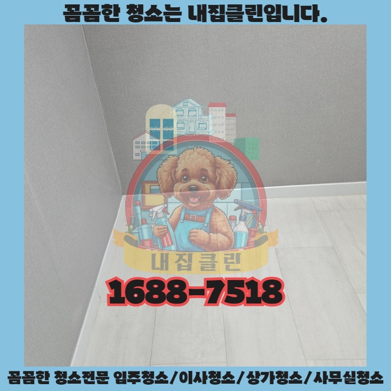 신포동 아파트 입주청소, 새집처럼 만드는 완벽한 선택