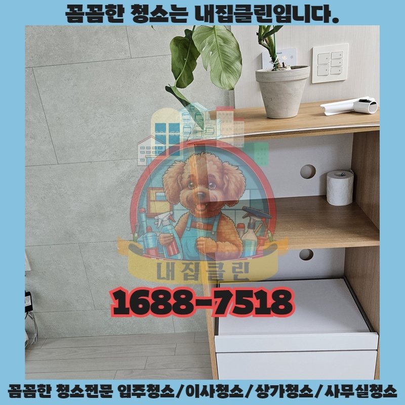 영종도 원룸 이사청소, 숨겨진 곰팡이까지 완벽 제거하는 방법