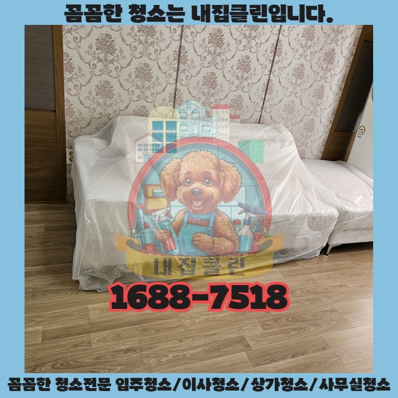 인천 청라 원룸청소 : 숨 막히는 곰팡이 지옥 탈출, 24시간 만에 쾌적한 공간으로!