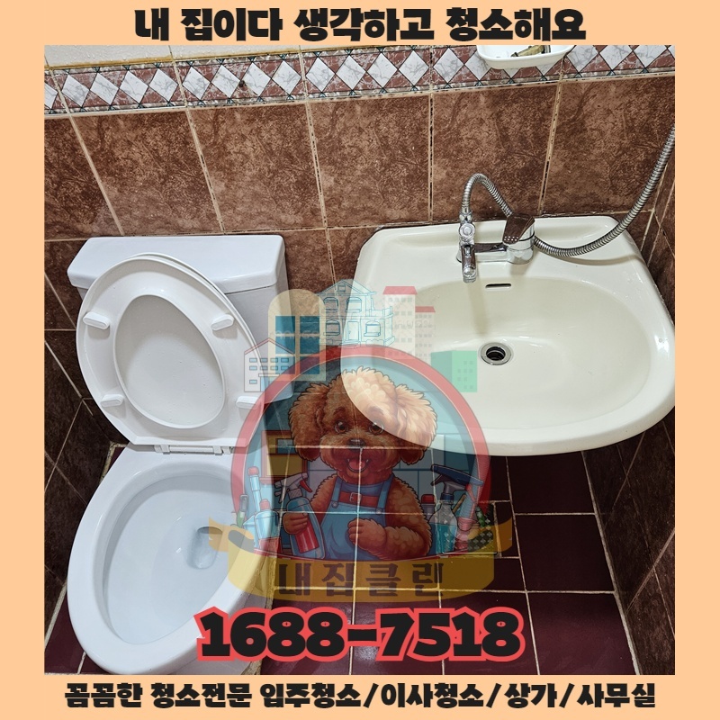 숨 막히는 먼지와의 전쟁 끝, 운서동 사무실에 부는 청량한 변화의 바람