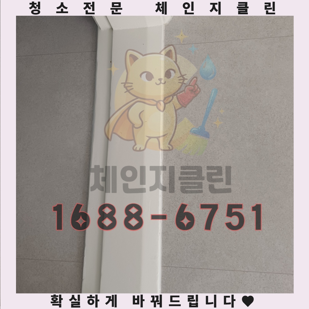 인천 관교동 원룸청소, 당신이 몰랐던 단 하나의 결정적 차이