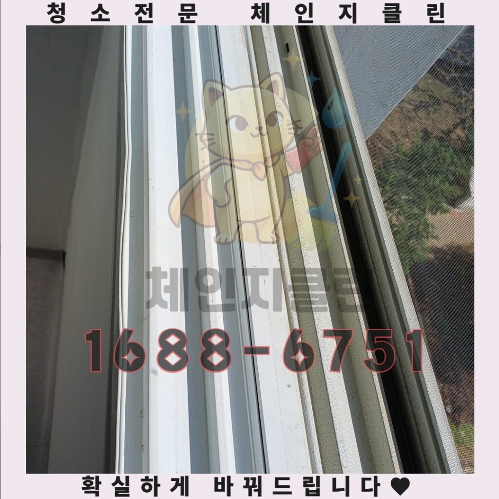 인천 삼산동 원룸청소 이사 전 필수 확인 완벽한 청결의 비밀